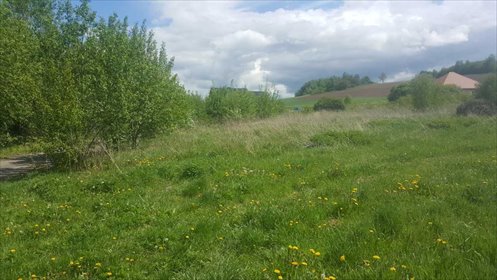 działka na sprzedaż 8500m2 działka Bystrzyca Kłodzka