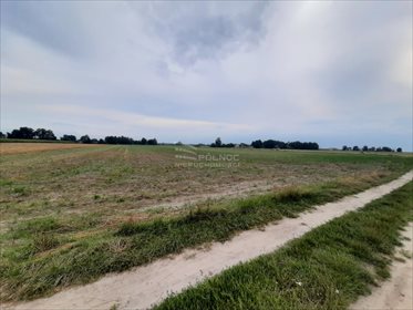 Działka rolna na sprzedaż Żurawieniec 22 500m2 Foto 6