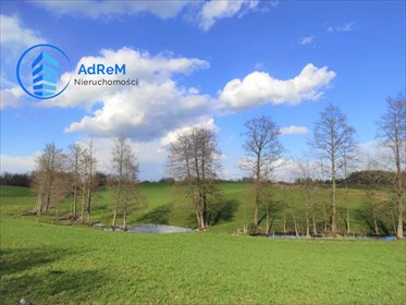 Działka siedliskowa na sprzedaż Rakówek 9 900m2 Foto 4