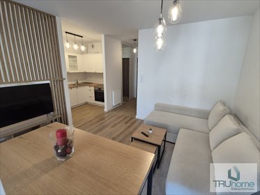 Na sprzedaż 35 m² w centrum Katowic z ogródkiem i najmem mieszkanie Katowice, Śródmieście, Opolska