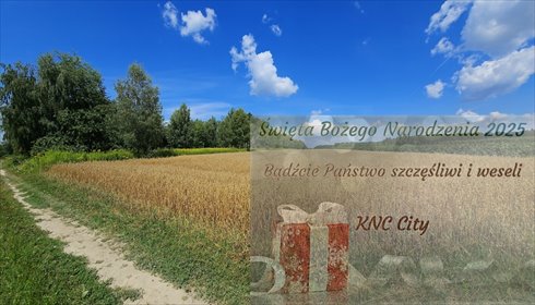 działka na sprzedaż 3342m2 działka Karczmiska Drugie