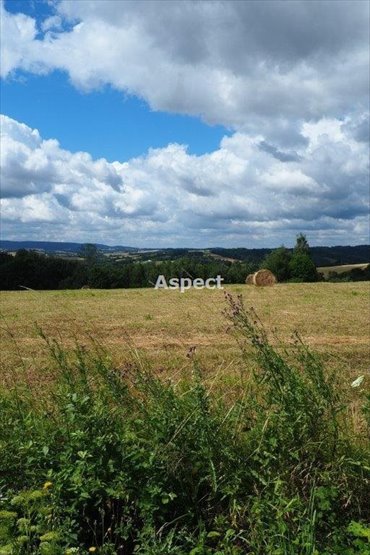 działka na sprzedaż 15739m2 działka Wielopole Skrzyńskie