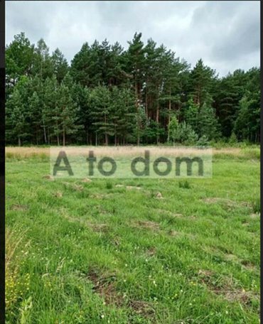 Zapraszam do zakupu działki 1364 m² pod dom w Kątach-Miąskach działka Kąty-Miąski