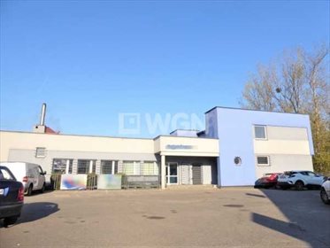 Lokal użytkowy na wynajem Romanów, Romanów, Romanów 430m2 Foto 1