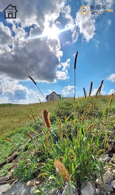 działka na sprzedaż 2473m2 działka Przywidz