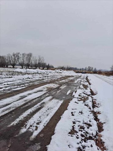 Działka budowlana na sprzedaż Szymanów 5 001m2 Foto 3
