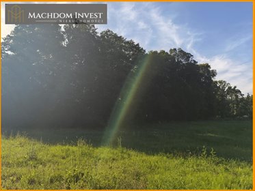 Do sprzedania działka 1032 m² z lasem i mediami w Terespolu działka Terespol Pomorski
