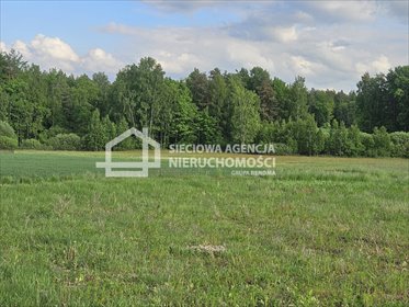 Działka 1335 m² z widokiem na las w Kaliska, spokojna okolica działka Kaliska