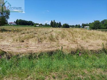 działka na sprzedaż 4219m2 działka Potok