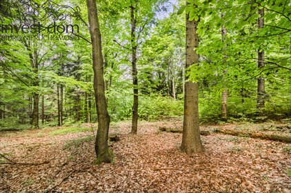 działka na sprzedaż 6300m2 działka Jodłówka Tuchowska