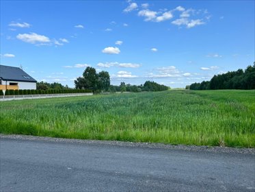 Lubojna, Różana, 14 000 m2 działka Lubojna, Różana