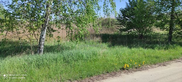 Polecam działkę rolną 4000 m² w Piaskach z fundamentami działka Piaski