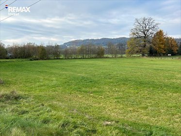 Działka budowlana 3913 m² z mediami, blisko Ustronia działka Kozakowice Górne, Doktora Andrzeja Cinciały