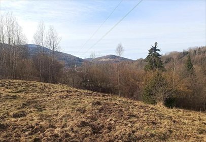 działka na sprzedaż 2000m2 działka Ujsoły