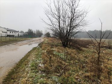 Działka rekreacyjna na sprzedaż Rusinowice 5 430m2 Foto 2