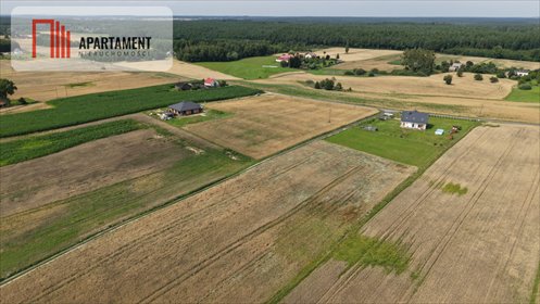 Działki budowlane 1600 m² w Ciche (blisko jezior i lasów) działka Ciche