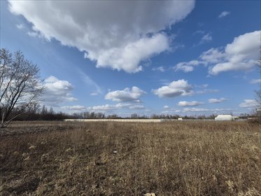 działka na wynajem 8307m2 działka Warszawa, Białołęka, Daniszewska