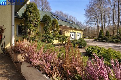 Przestronny dom 430 m2 na 1 ha z lasem i stawem dom Henryszew
