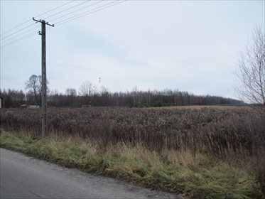 Działka budowlana na sprzedaż Horbów-Kolonia 10 000m2 Foto 5