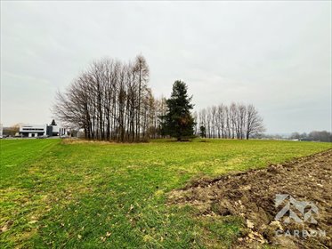 działka na sprzedaż 4215m2 działka Czechowice-Dziedzice, Sąsiedzka