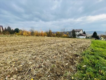 działka na sprzedaż 7600m2 działka Dobczyce, Skrzynecka