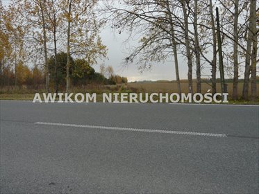 Zapraszam do zakupu działki 74 200 m² w Starym Łajszczewie działka Puszcza Mariańska, Stary Łajszczew