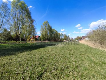 działka na sprzedaż 500m2 działka Jeleńczewo