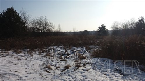 Zapraszam do obejrzenia działki 1200 m² w Józefosławiu działka Józefosław, Działkowa