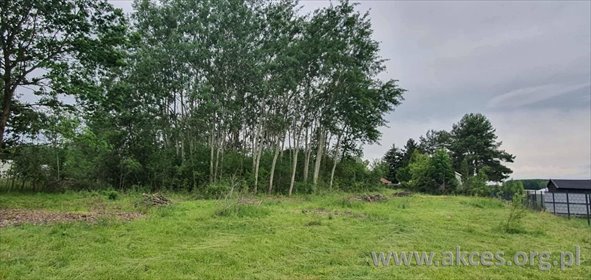 Działka 2231 m² pod zabudowę, MPZP, media, asfalt działka Grochowa