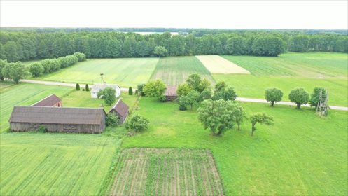 Działka budowlana na sprzedaż Budne 1 000m2 Foto 3