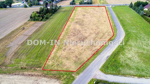 Działka budowlana na sprzedaż Gorzyczki, Raciborska 6 600m2 Foto 4