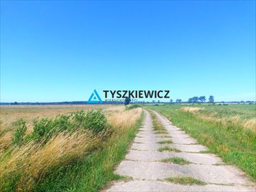 działka na sprzedaż 10166m2 działka Żarnowiec