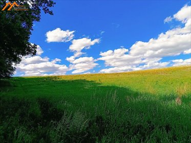 działka na sprzedaż 15000m2 działka Kiszewo