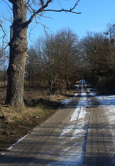 działka na sprzedaż 3388m2 działka Łęgi, Na Świdwie