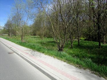 Działka inwestycyjna na sprzedaż Szklary, Szklary, Szklary 1 800m2 Foto 3