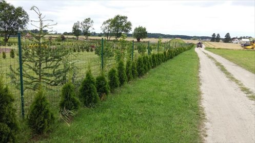Działka inna na sprzedaż Grzebienisko, Huby 1 250m2 Foto 3