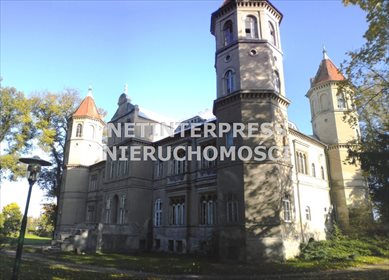 Lokal użytkowy na sprzedaż Dąbrówka Wielkopolska 4 500m2 Foto 2