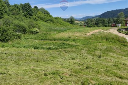 Działka budowlana na sprzedaż Grywałd 4 011m2 Foto 2