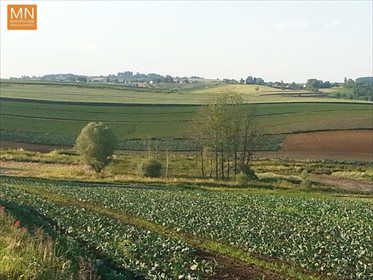 Na sprzedaż działka budowlana 1560 m² w Wroninie działka Wronin