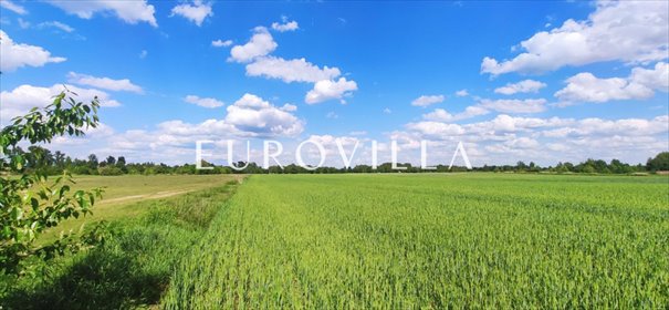 Działka inwestycyjna 13 400 m² w Wilanowie (MPZP) działka Warszawa, Wilanów, Wiedeńska