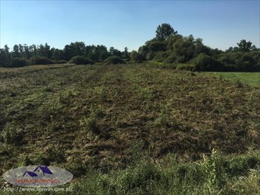 Działka rolna na sprzedaż Suchy Grunt 11 600m2 Foto 6