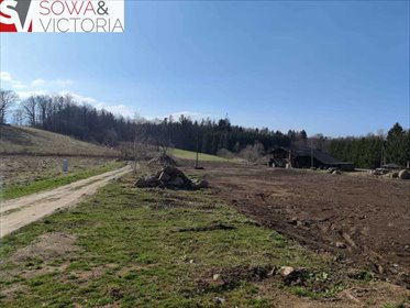 działka na sprzedaż 1216m2 działka Staniszów