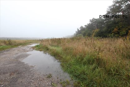 działka na sprzedaż 5000m2 działka Łęczna