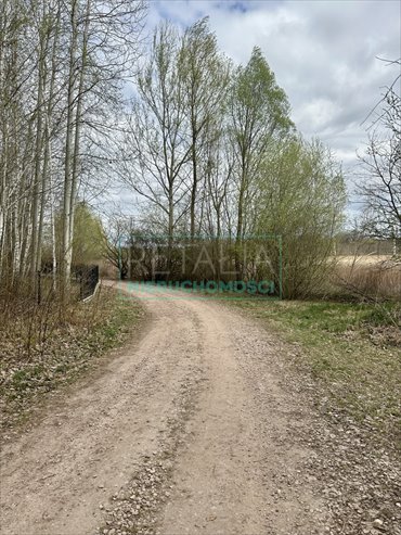 działka na sprzedaż 2000m2 działka Strzeniówka