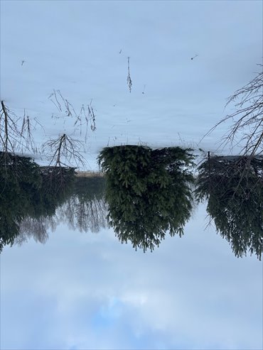 działka na sprzedaż 1273m2 działka Borzęcin Duży