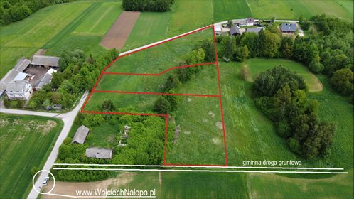 Działka budowlana na sprzedaż Radkowice-Kolonia 4 651m2 Foto 4