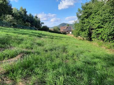 Działka budowlana na sprzedaż Trzebinia 1 596m2 Foto 4
