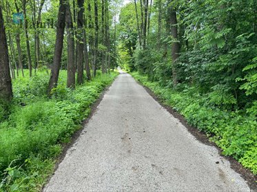 Działka budowlana 4100 m² z mediami i świetną komunikacją działka chrzanowski, Regulice