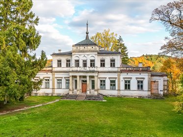 lokal użytkowy na sprzedaż 982m2 lokal użytkowy Działoszyce, Sancygniów