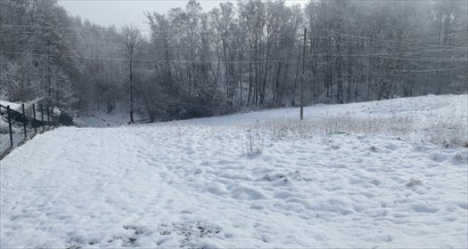 działka na sprzedaż 2490m2 działka Jastrzębie-Zdrój, Ruptawa, Zachodnia